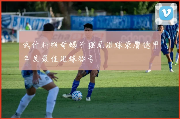 武什科维奇蝎子摆尾进球荣膺德甲年度最佳进球称号